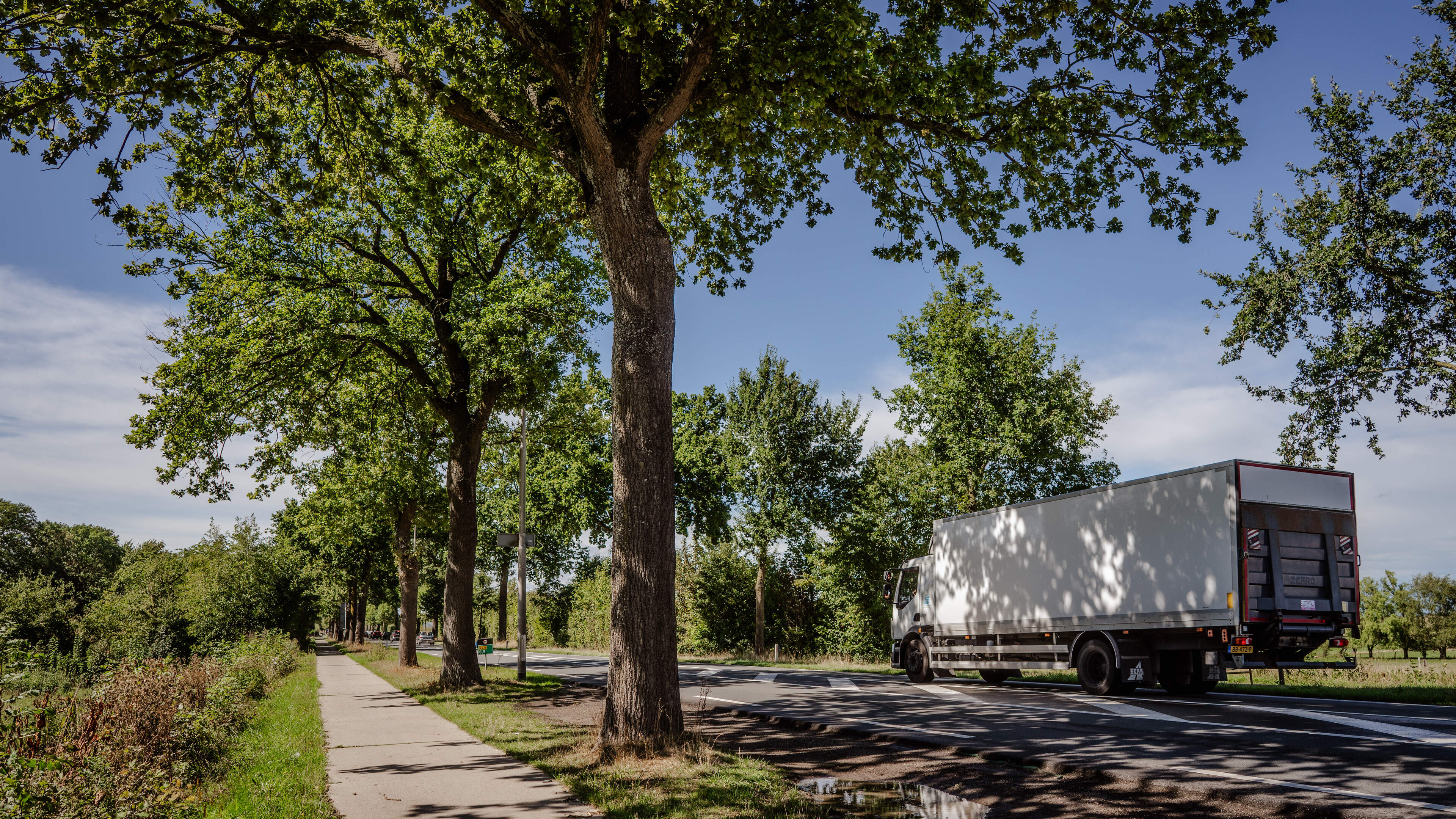 Kritiek op omvangrijke bomenkap voor reconstructie provinciale weg Hoogcruts